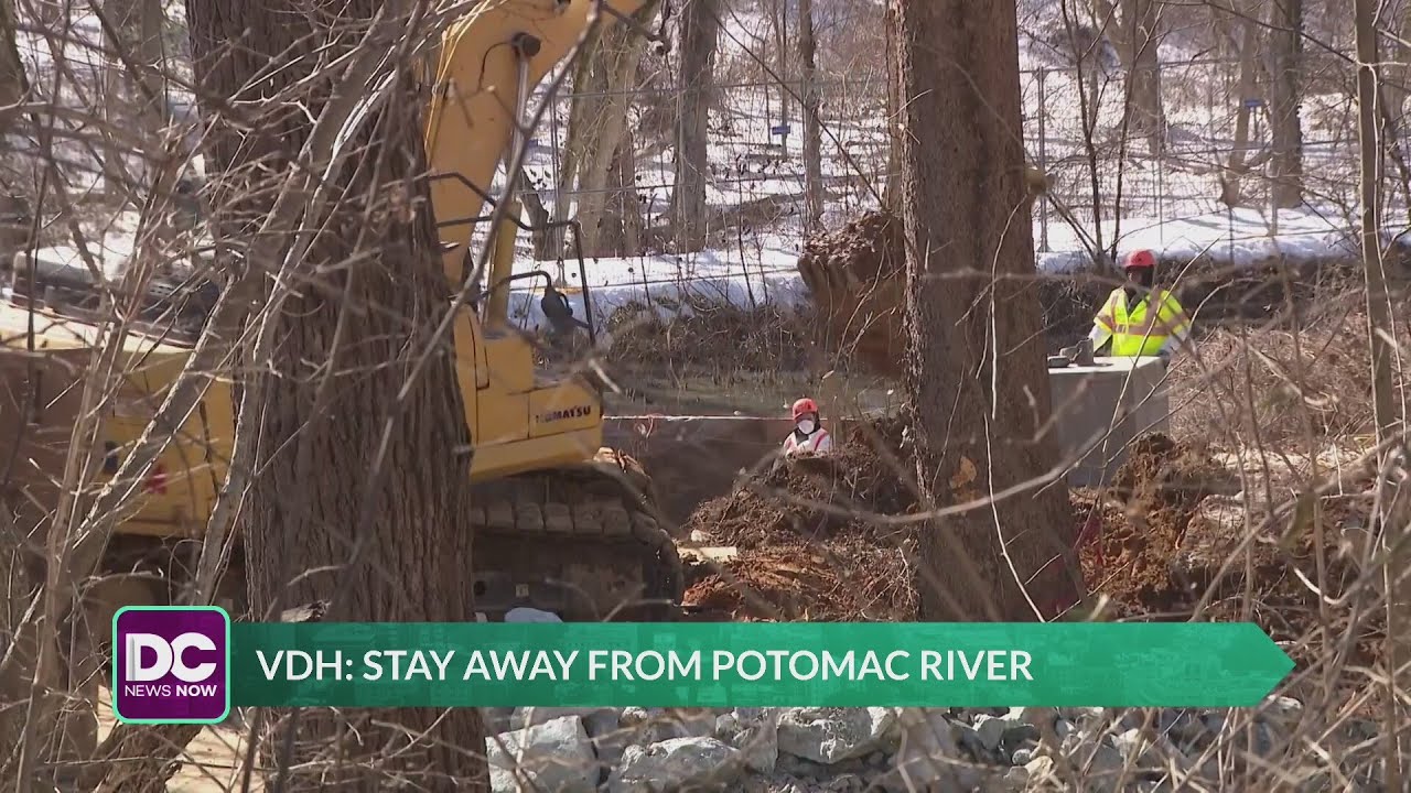 VDH: Stay Away From The Potomac River