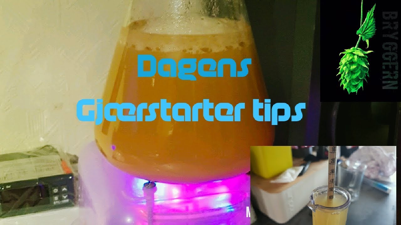 Dagens Gj&aelig;rstarter Tips