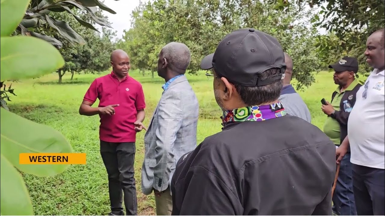 Agro-Industrialisation Drive | NARO Partners with Agribusinesses for Value Addition