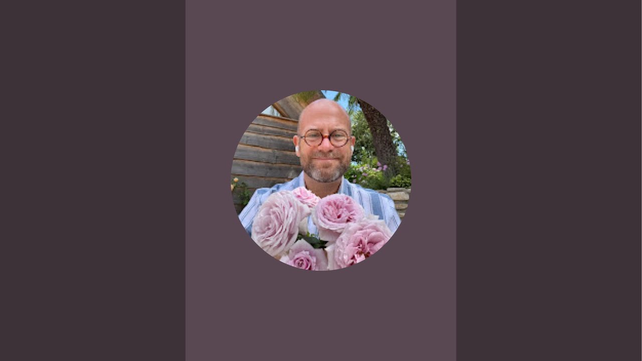 3 in one prune shrub standard and climbing roses with me ￼
