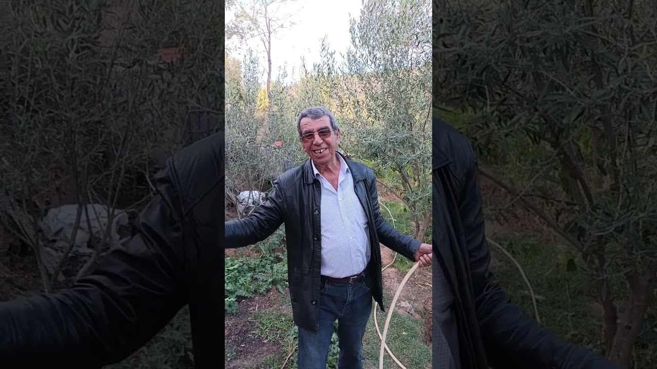 Les kabyle
