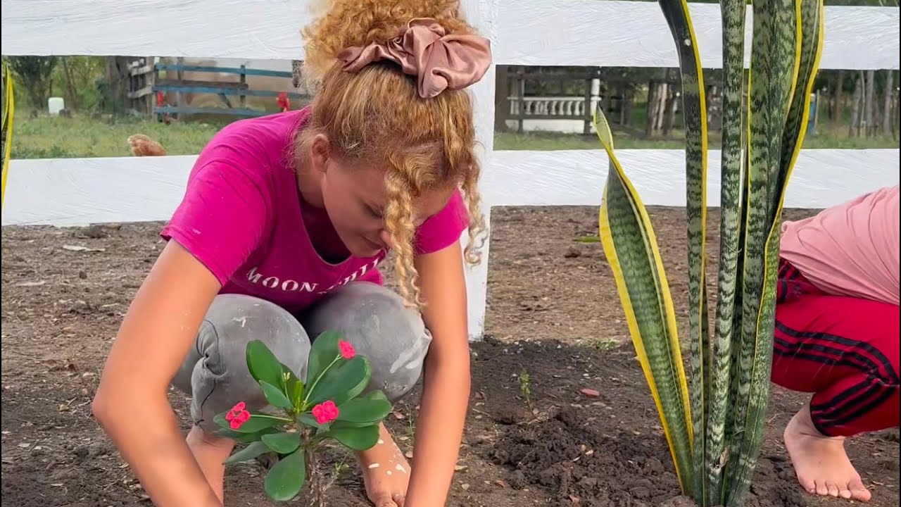 Acompáñanos a pintar y hacer nuestro jardín fácil y sencillo.
