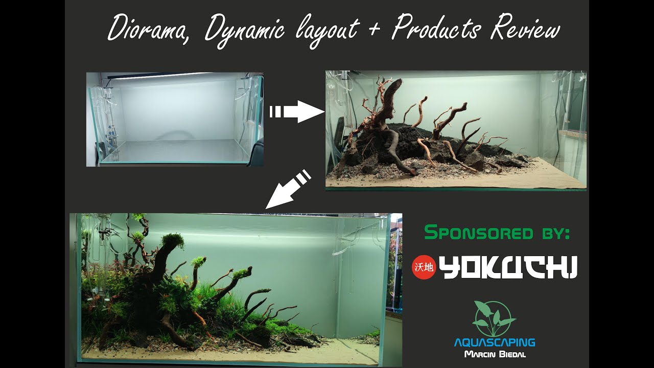 Triangular Diorama Style Aquascape - Step By Step Tutorial Sponsored by YOKUCHI + Products Review