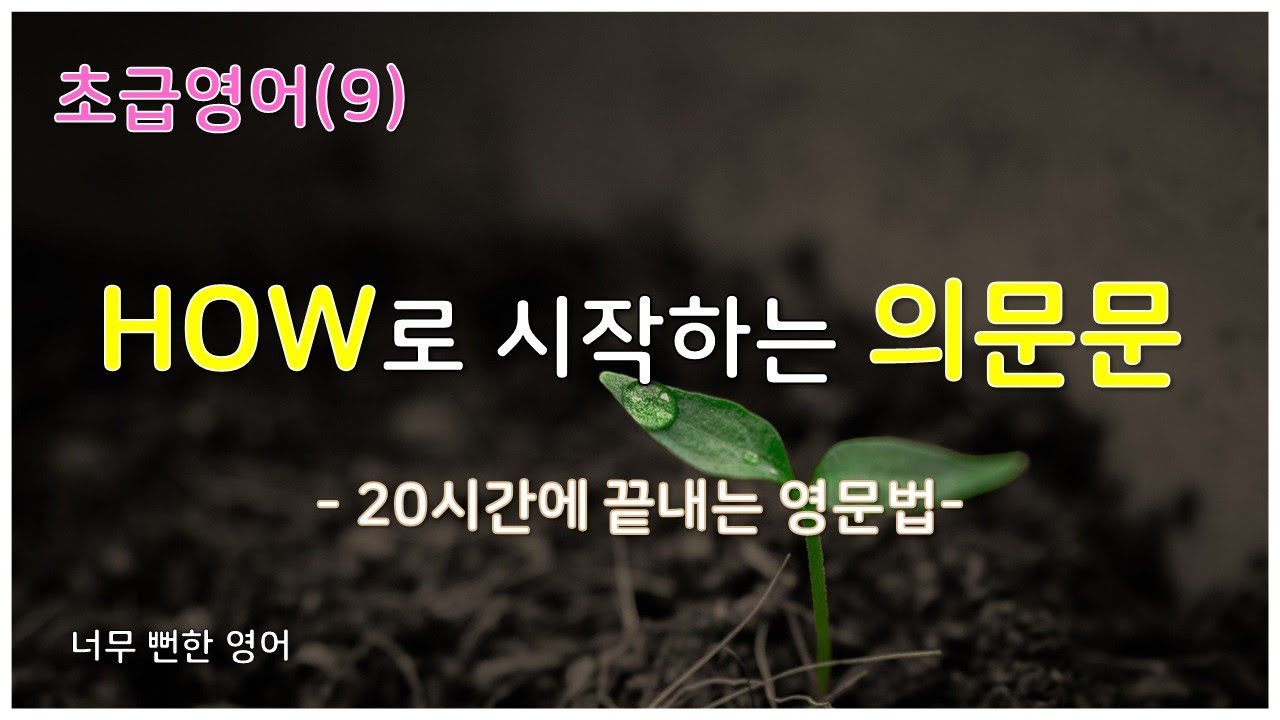 초급영어(9) how로 시작하는 의문문 ㅣ #의문사 #형용사 #부사 #WH-의문문