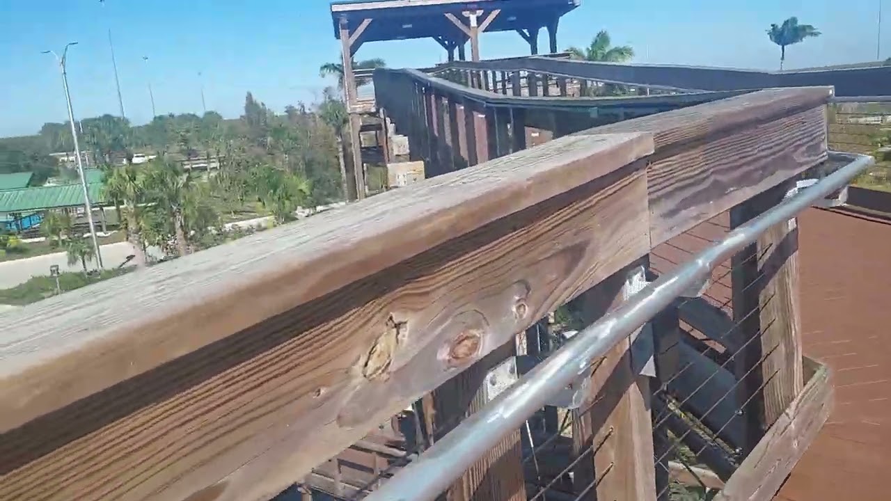 Alligator alley 