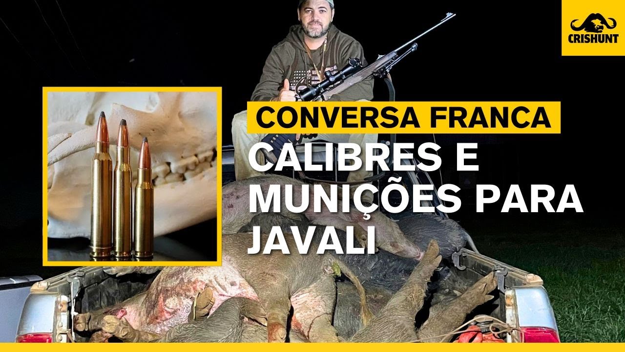 Um bate papo franco sobre calibres de rifles e muni&ccedil;&otilde;es para javali