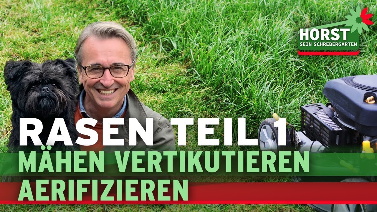 Rasenpflege im Fr&uuml;hjahr - die ersten 3 Schritte zum satten Gr&uuml;n | Horst sein Schrebergarten
