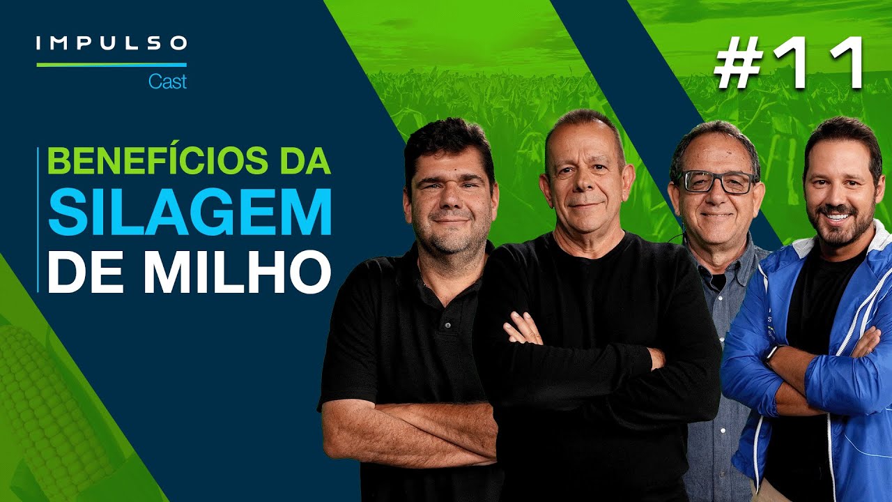 Silagem de milho: como produzir com rentabilidade? | Impulso Cast EP. 11