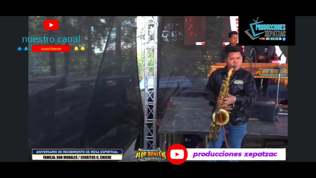 en vivo