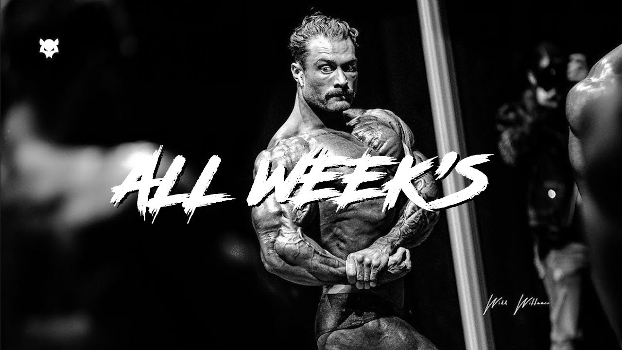 BAD WOLF 🐺 - ALL WEEK'S