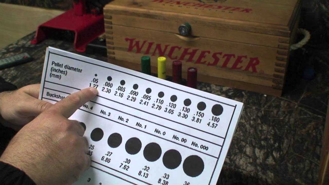 shotgun shells 101 with the yankee cowboy