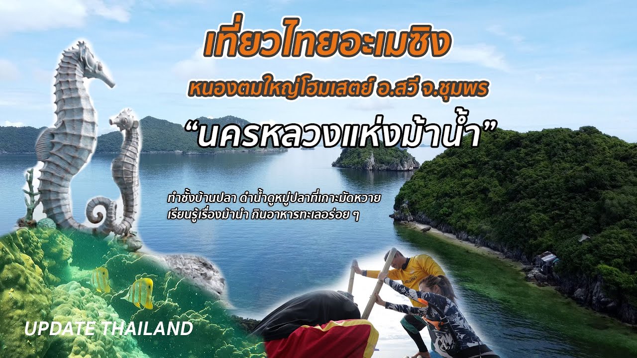 เที่ยวไทยอะเมซิง โฮมสเตย์บ้านท้องตมใหญ่ อ สวี จ ชุมพร Update Thailand 27 11 2565