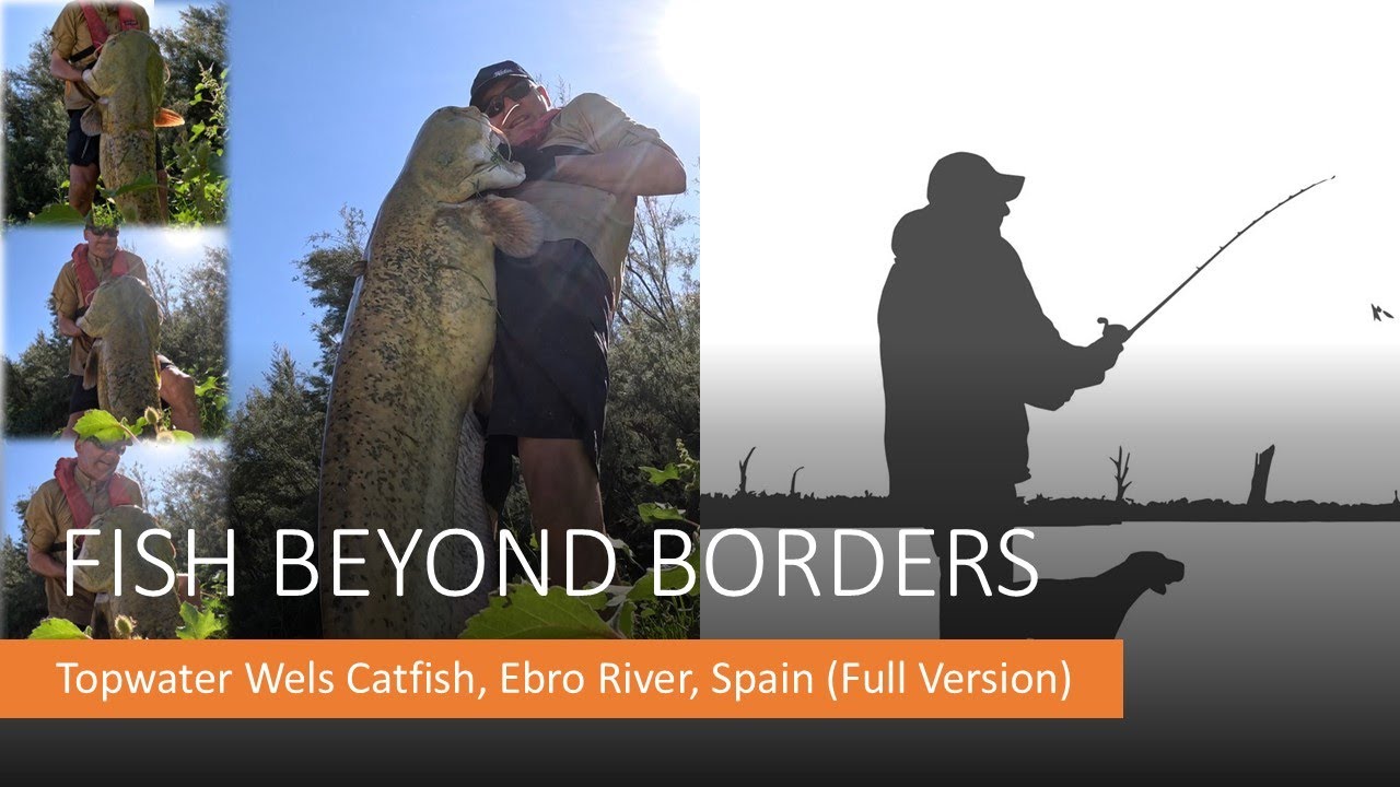 Topwater Wels Catfish, Ebro River in Flood, Spain (Full Version) |Fish Beyond Borders
