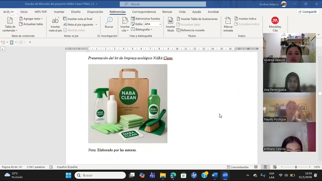 Fase I Proyecto de inversión 