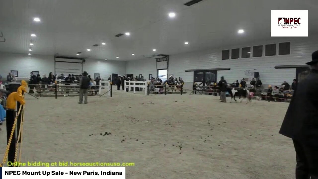 NPEC Mount Up Sale - New Paris, IN