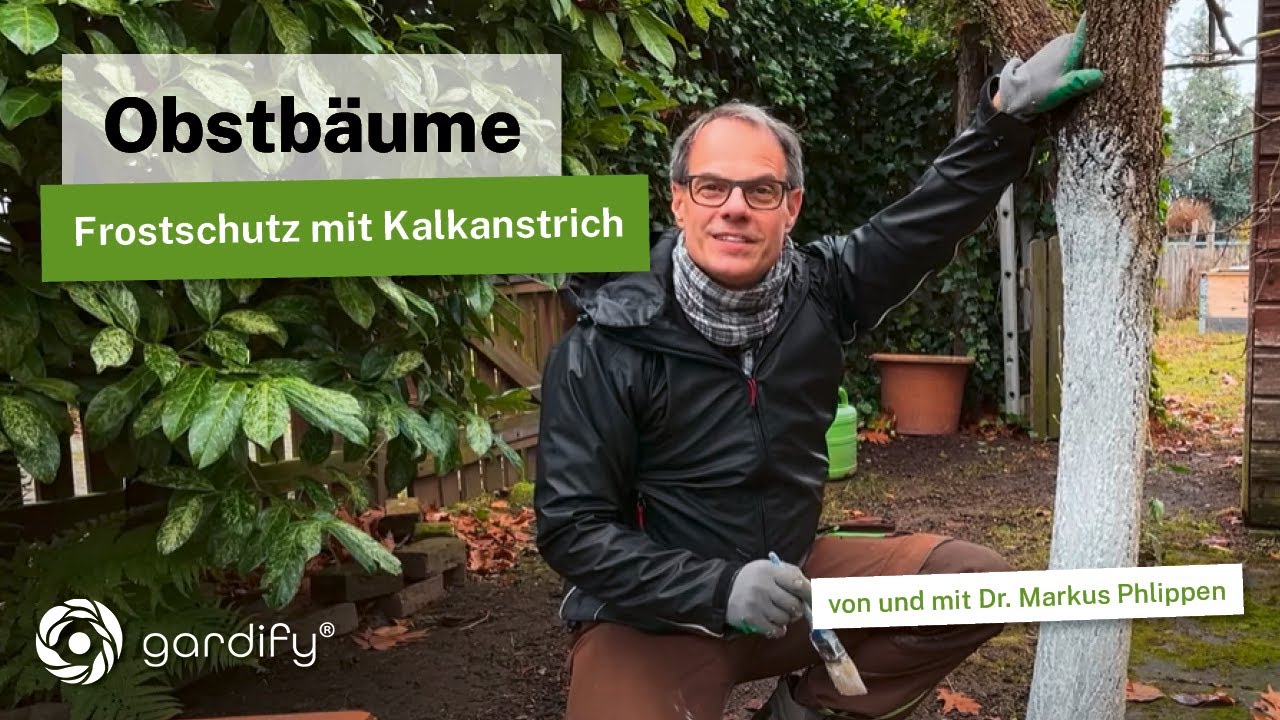 "Winterfest mit Kalkfarbe: So schützt Ihr Obst- und Ziergehölze vor Frost und Schädlingen!"