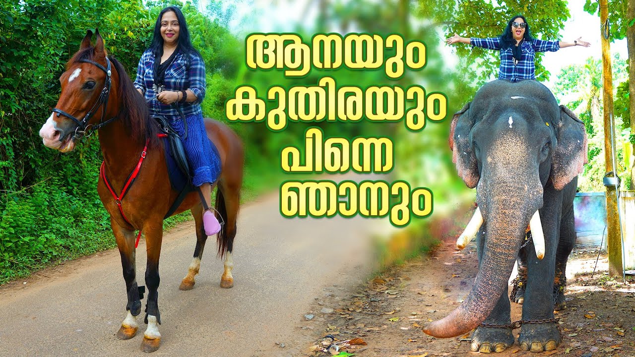 ആനപ്പുറത്തെ അഭ്യാസങ്ങൾ | Elephant Safari | Horse Riding | Pria Menon