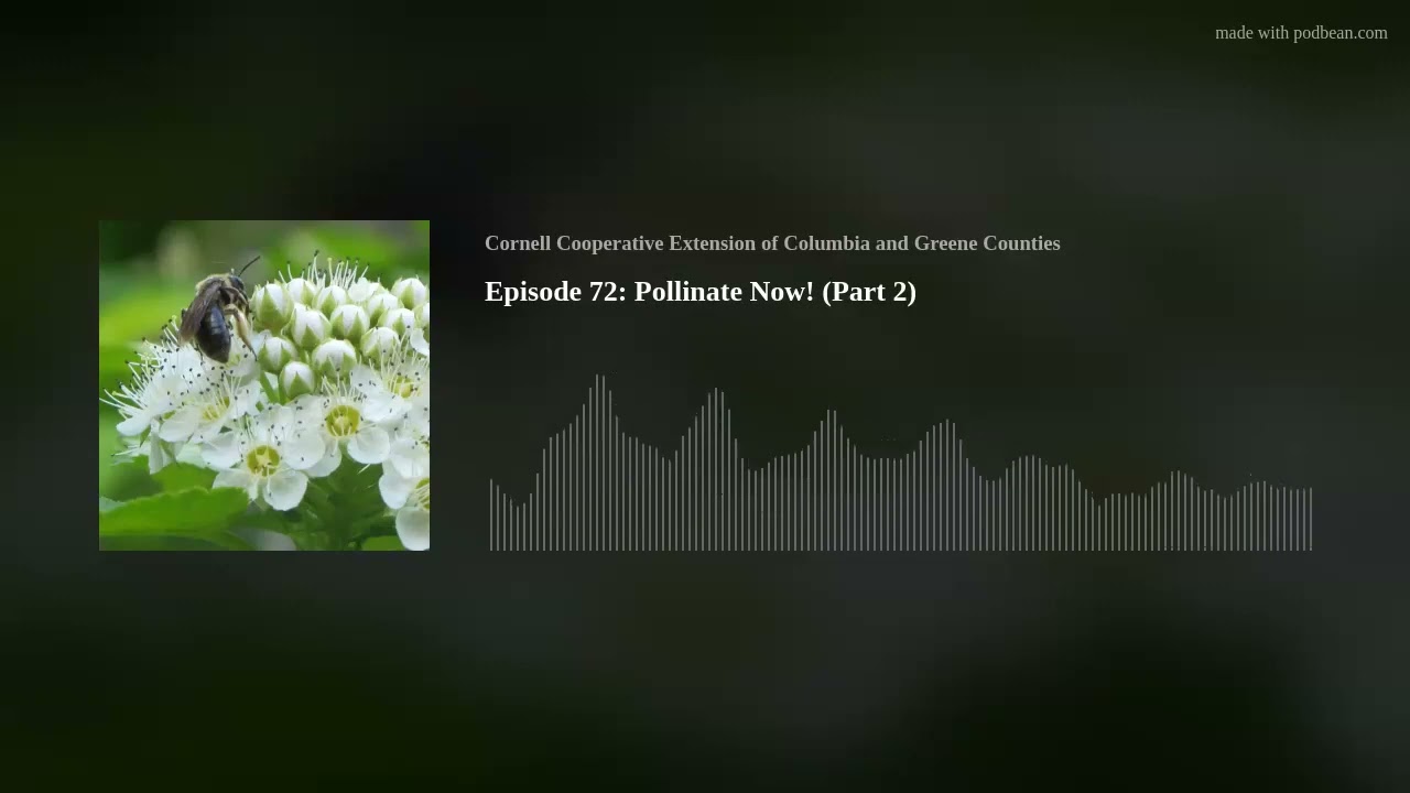 Episode 72: Pollinate Now! (Part 2)