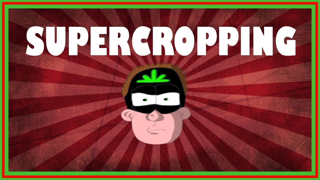 Grow Techniques Series - Supercropping