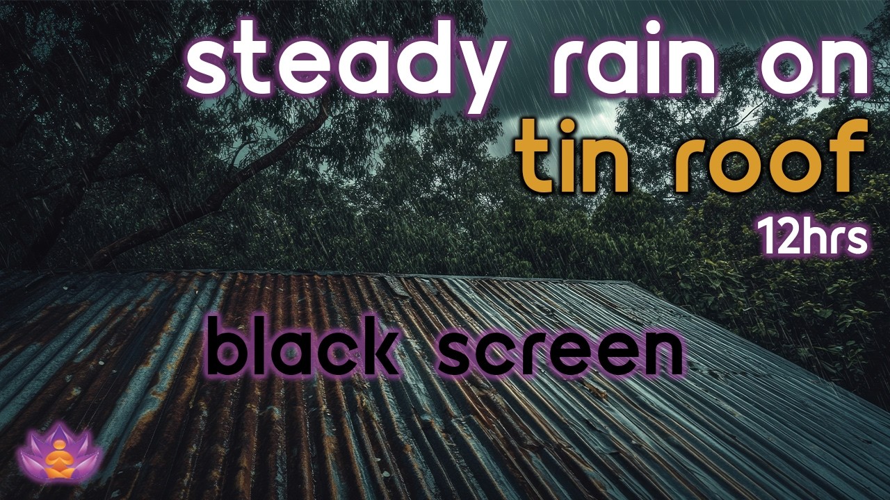 [Black Screen] Steady Rain on Tin Roof No Thunder | Rain Ambience | Rain Sounds for Sleeping