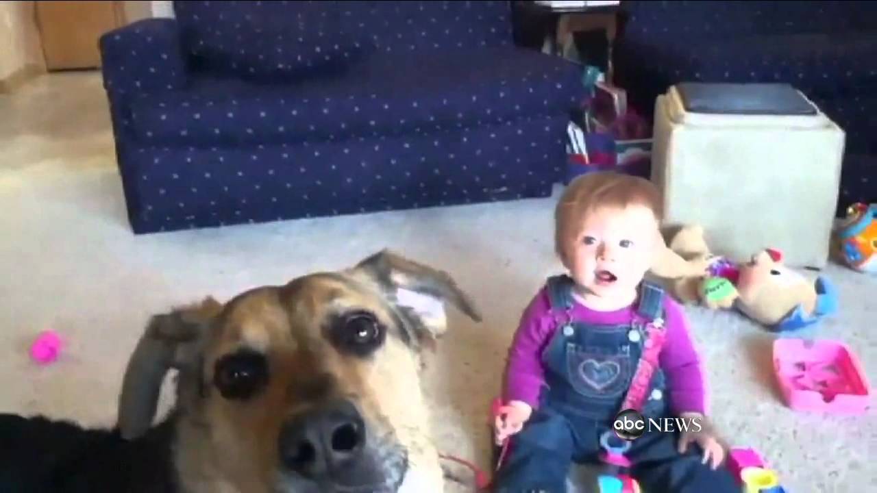 Baby Laughs at Dog Eating Bubbles