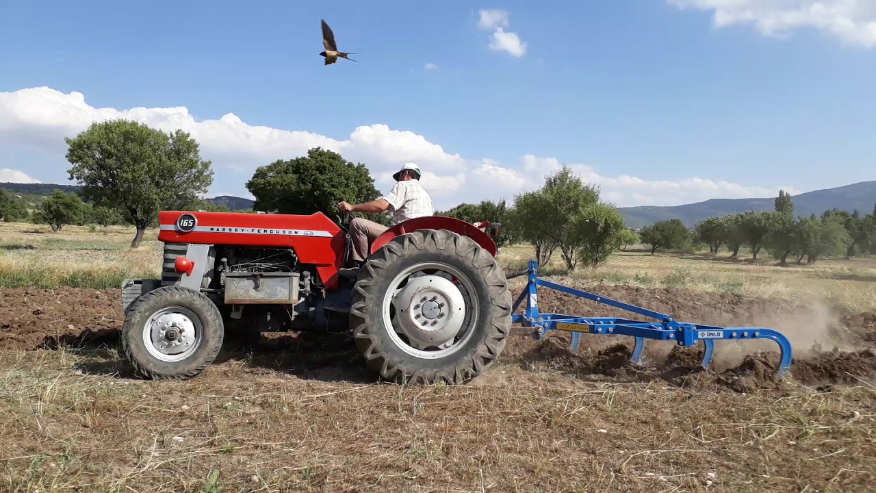 Mf 165  herk EA 236