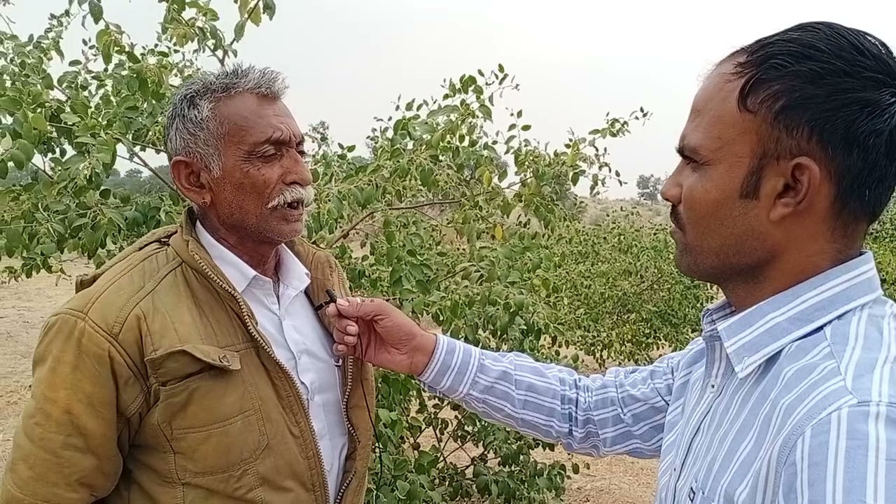 एक ऐसा किसान जिन्होंने बिना पानी के ही लगा दिए एक हजार बेर के पौधे...आपके काम का है ये वीडियो