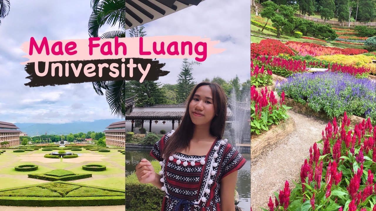 MFU Fresher เดินทางไปเรียนเชียงราย ขึ้นดอย เข้าหอ เรียนIE ใช้ชีวิตแบบเด็กมฟล.🏫🌷🌻 #mfu#มฟล