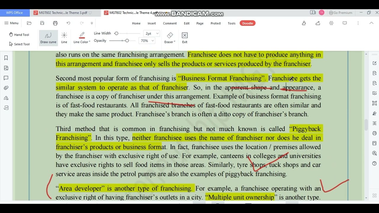 mgt602 entrepreneurship theme no 4 highlighted/ conceptual