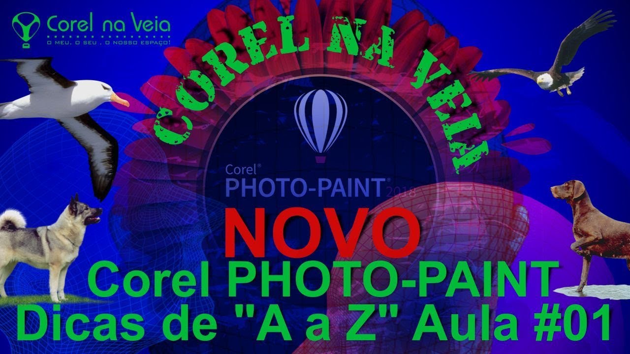 Novo Corel PHOTO PAINT 2018 Dicas Básicas Aula 01