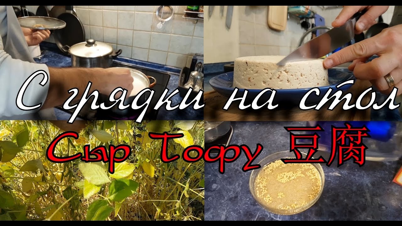 Соевый сыр тофу дома - довольно просто!