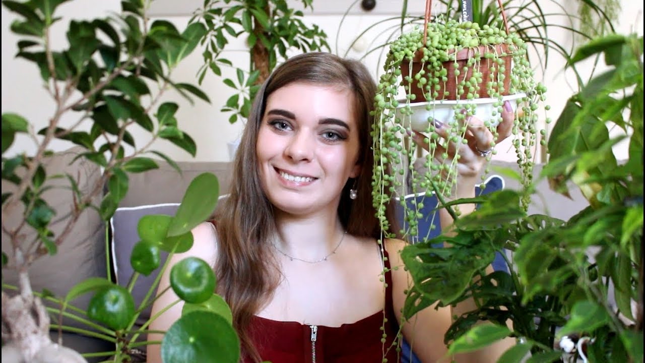 ASMR | LA BOUTIQUE DE PLANTES 🌿