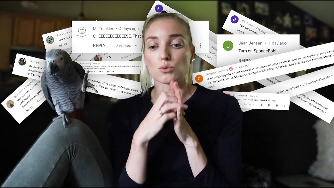 MY REACTION TO YOUR COMMENTS (Whoa! Let Me Explain...)
