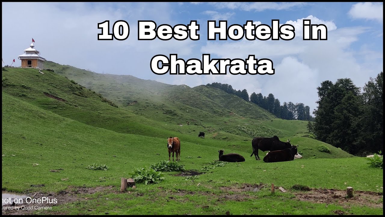 Hotels in Chakrata | Top 10 Best Hotels in Chakrata | Chakrata Hotels | Budget Hotels in Chakrata