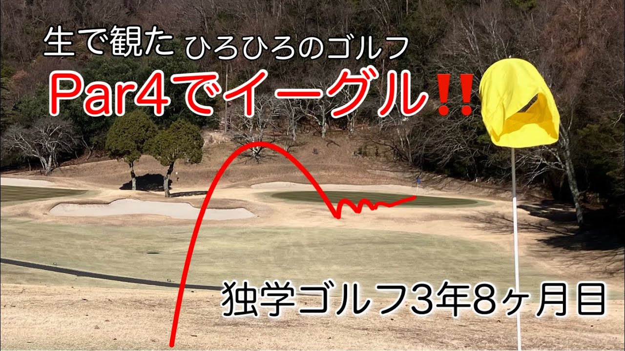独学3年半の今年初打ち＆ 同級生ゴルフPar4イーグルは眼福でした