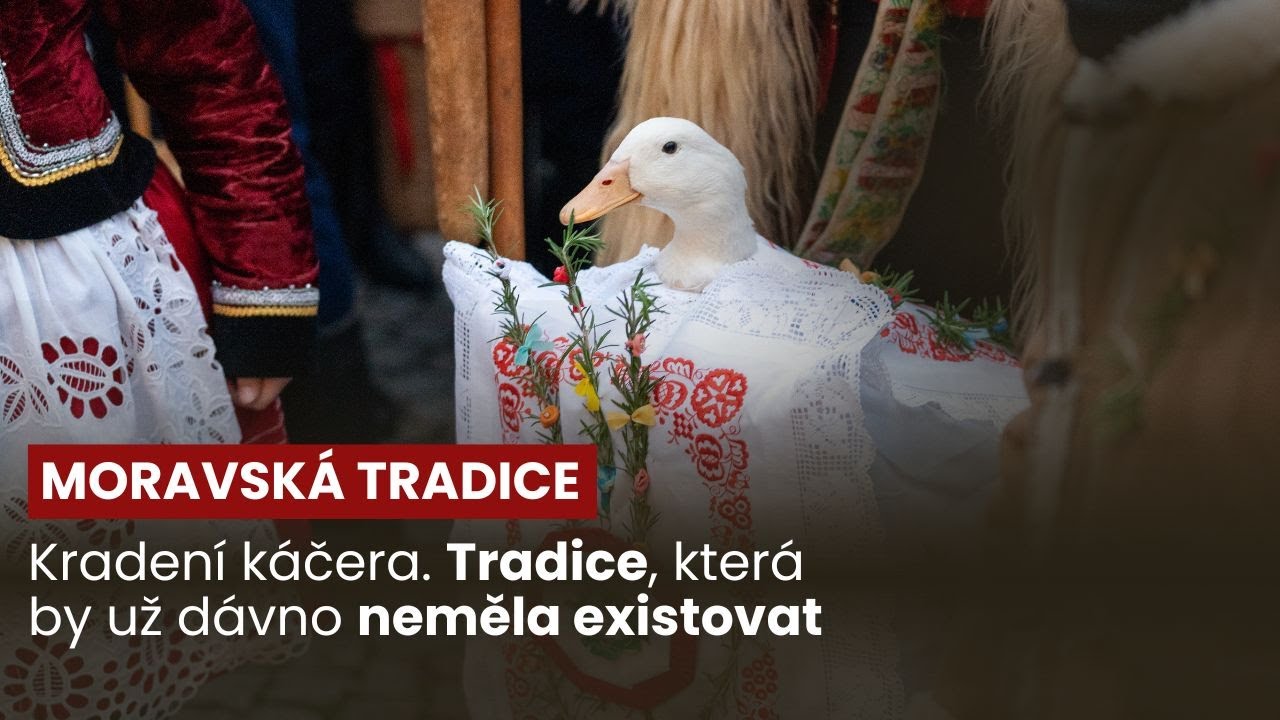 MORAVSKÁ TRADICE - Kradení Káčera