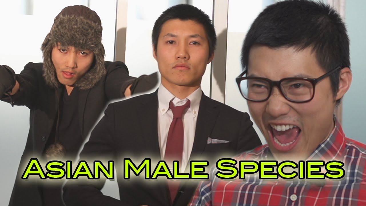 Asian Male Species