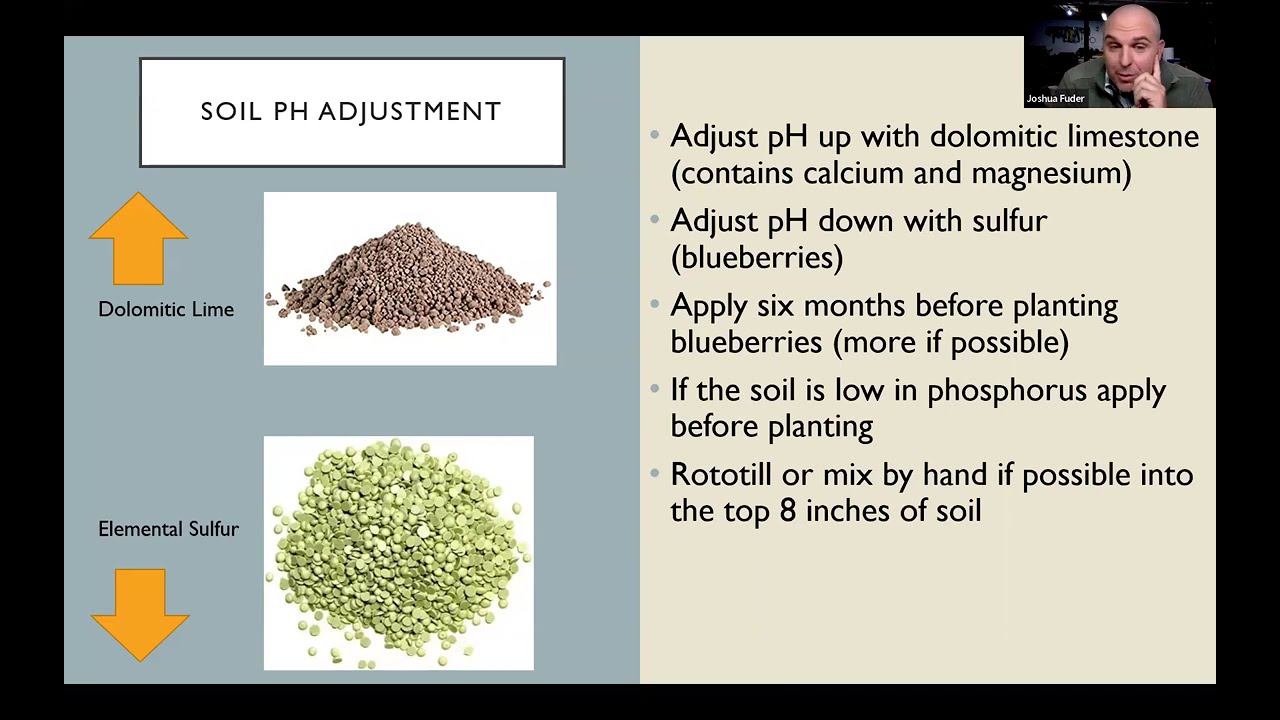 Planning for Fruit Trees Webinar