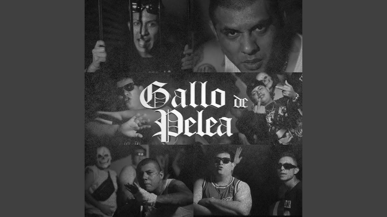 Gallo de Pelea