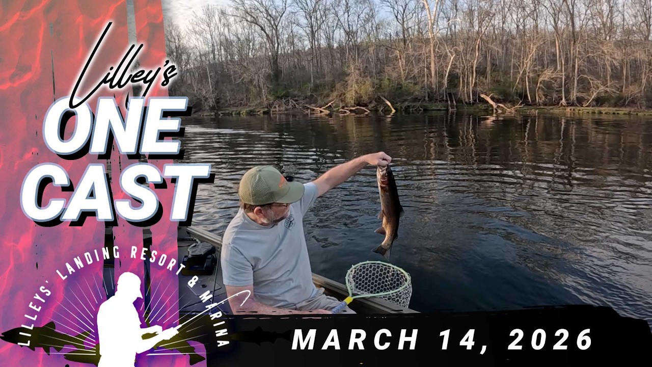 Lilley's One Cast, March 14