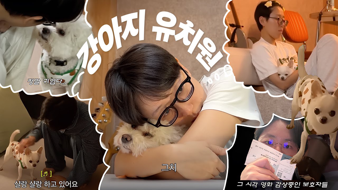 강아지 안 키워본 사람의 유치원 VLOG
