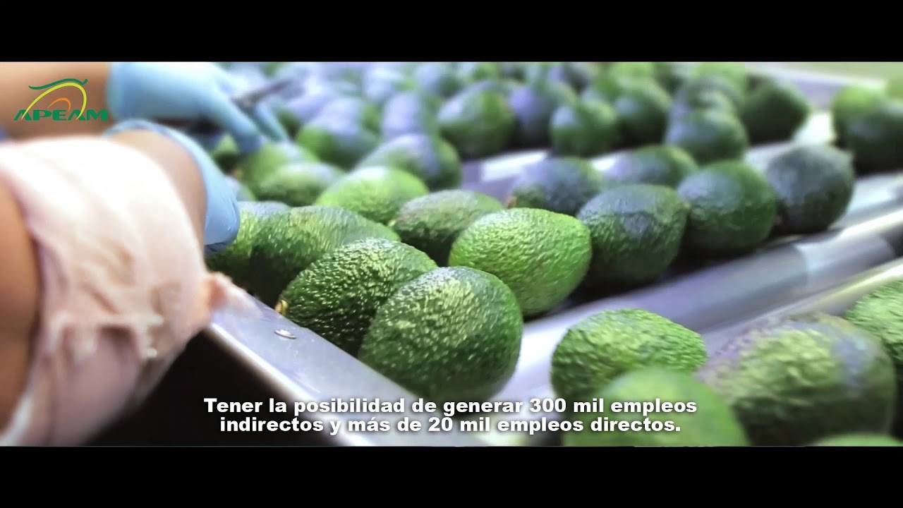Video Subtitular Que es APEAM