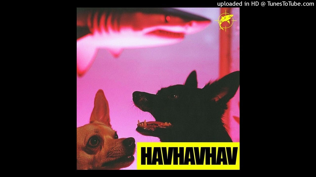 LVBEL C5 - HAVHAVHAV TYPE BEAT (prod. by @mertkerimari @dorobeats)
