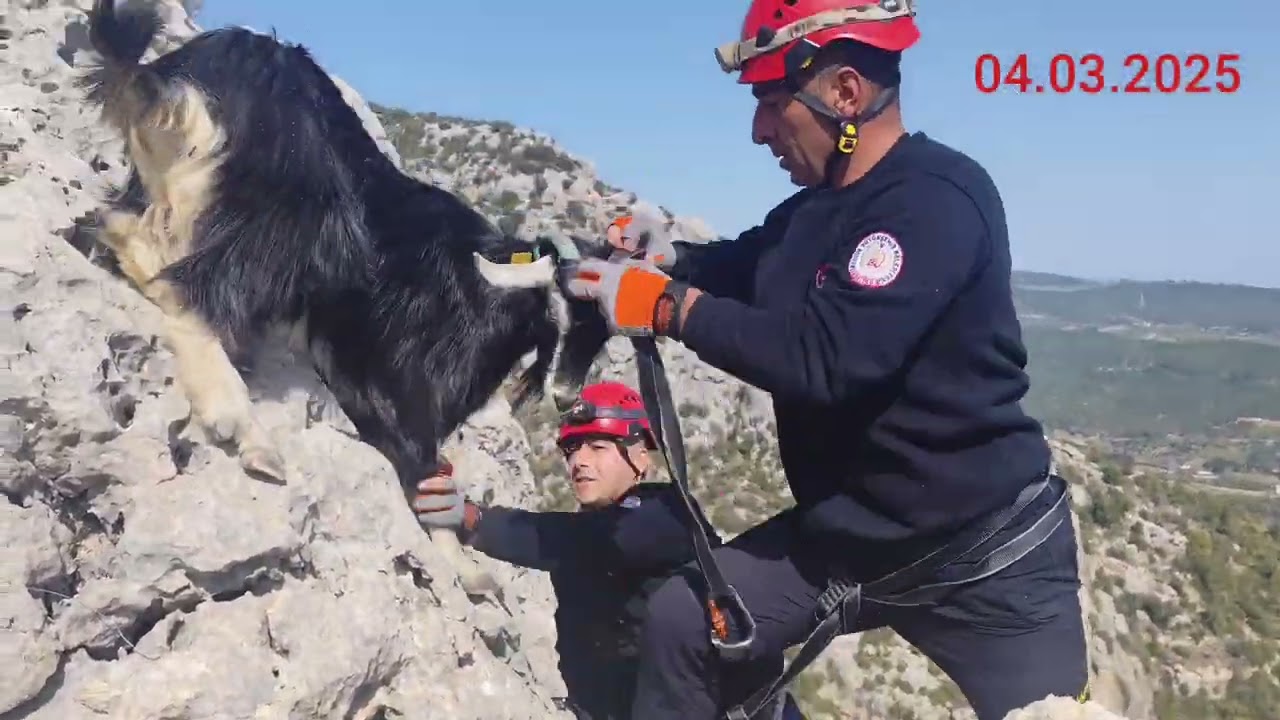 Dağda kalan 6 keçiyi Mersin İtfaiye ekibi ile çıkarttık