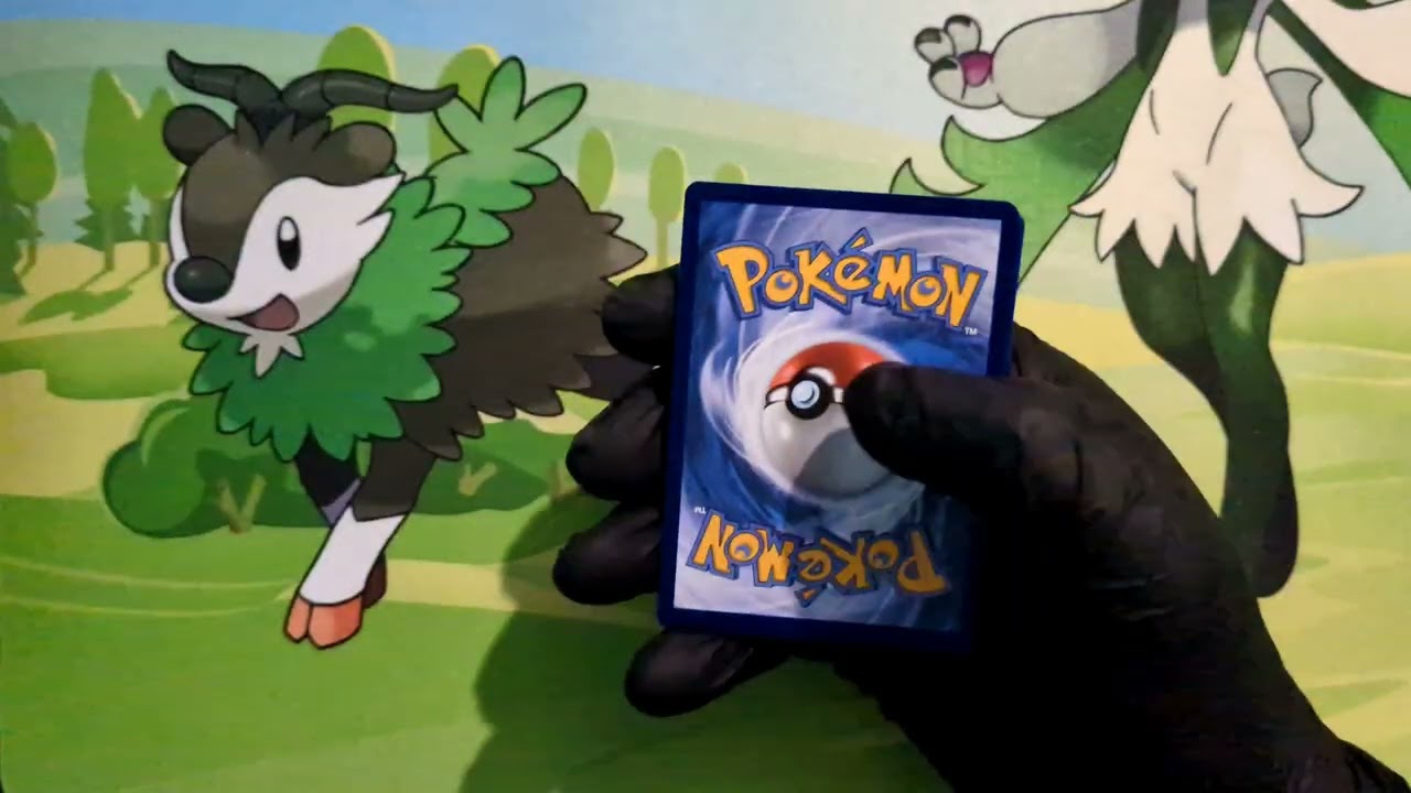 Opening a Mega Venusaur ex Premium Collection