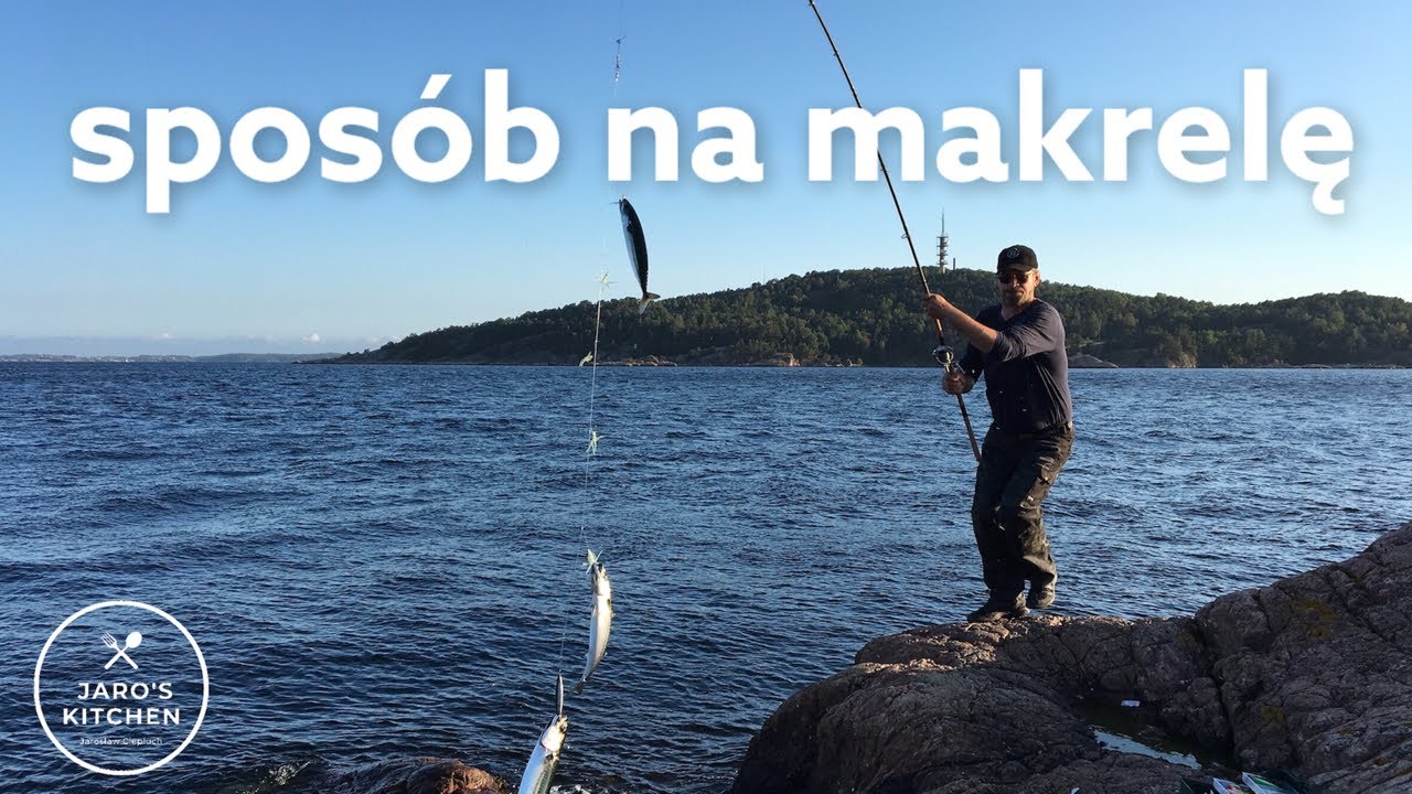 Jak przyrządzić rybę. Mój sposób na makrelę. Świeża makrela w cieście naleśnikowym.