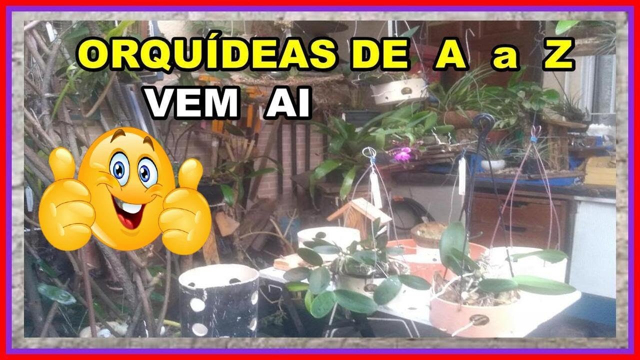 ORQUÍDEAS DE A a Z VEM AI O CURSO GRATIS DESTE VEINHO PARA VOCES