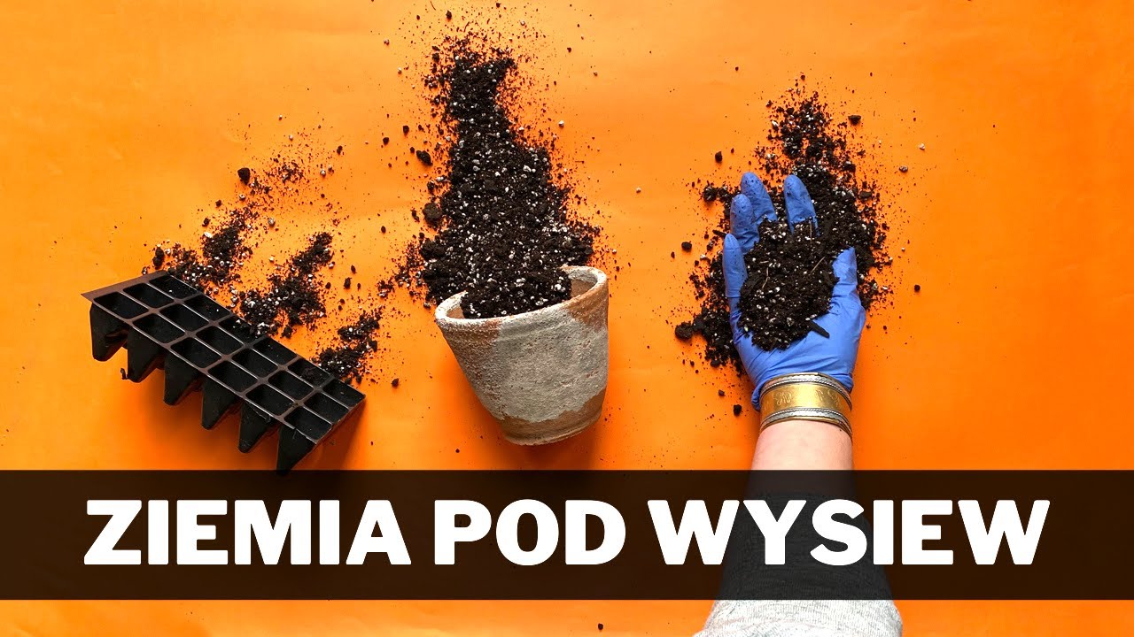 Jaka ziemia do wysiewu nasion ? Jak przygotować podłoże do wysiewania nasion ?🌱