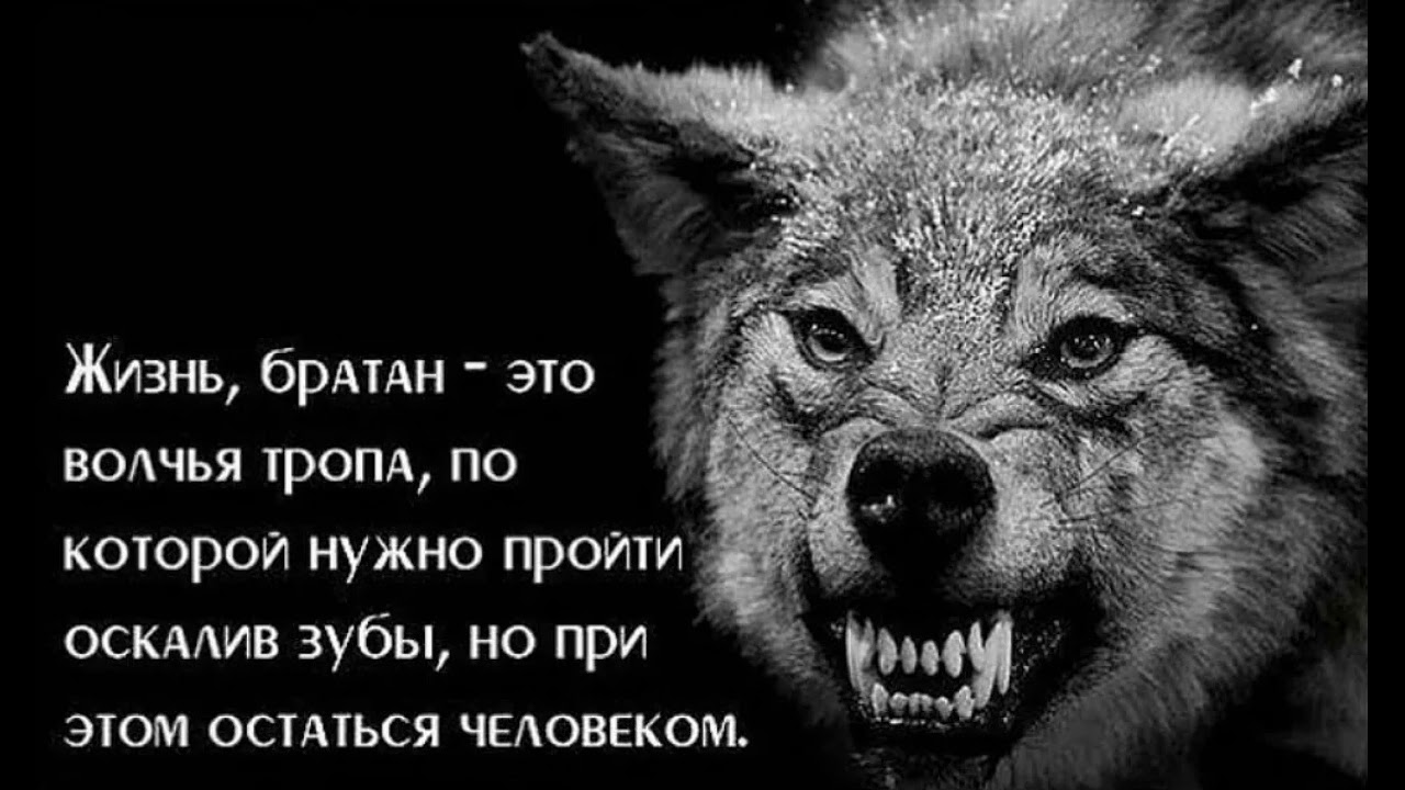24 ноября 2025 г.