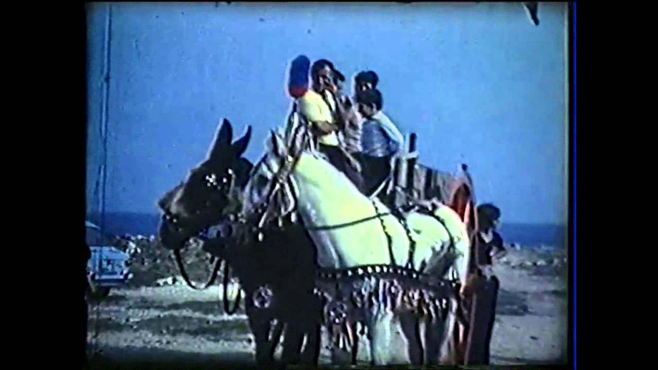 Molfetta, fiera 8 Settembre 1978